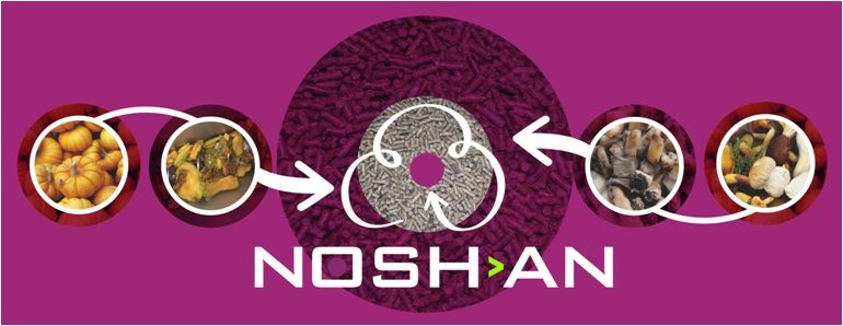 NOSHAN header