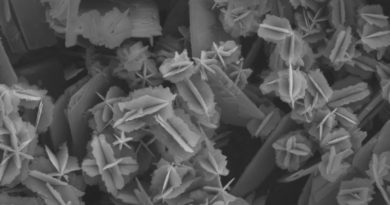 ECHA publishes REACH Guidance for nanomaterials ECHA publishes REACH Guidance for nanomaterials