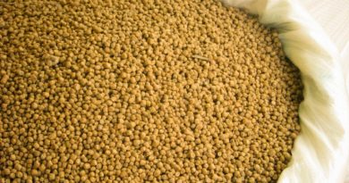 Results of NOSHAN project exploited by research projects: Feed of the Future Results of NOSHAN project exploited by research projects: Feed of the Future