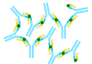 The EU and Canada Award €8.65 Million to iReceptor Plus Project to Ease Genomic and Health Data Sharing The EU and Canada Award €8.65 Million to iReceptor Plus Project to Ease Genomic and Health Data Sharing