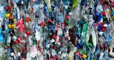 R3BORN project: A New Life for Plastic Waste R3BORN project: A New Life for Plastic Waste