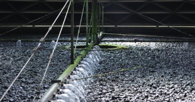 Produce biodegradable solvents with waste from industrial effluents for CO2 capture Produce biodegradable solvents with waste from industrial effluents for CO2 capture